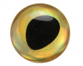 3D Epoxy Fish Eyes, Rainbow Gold, 10 mm